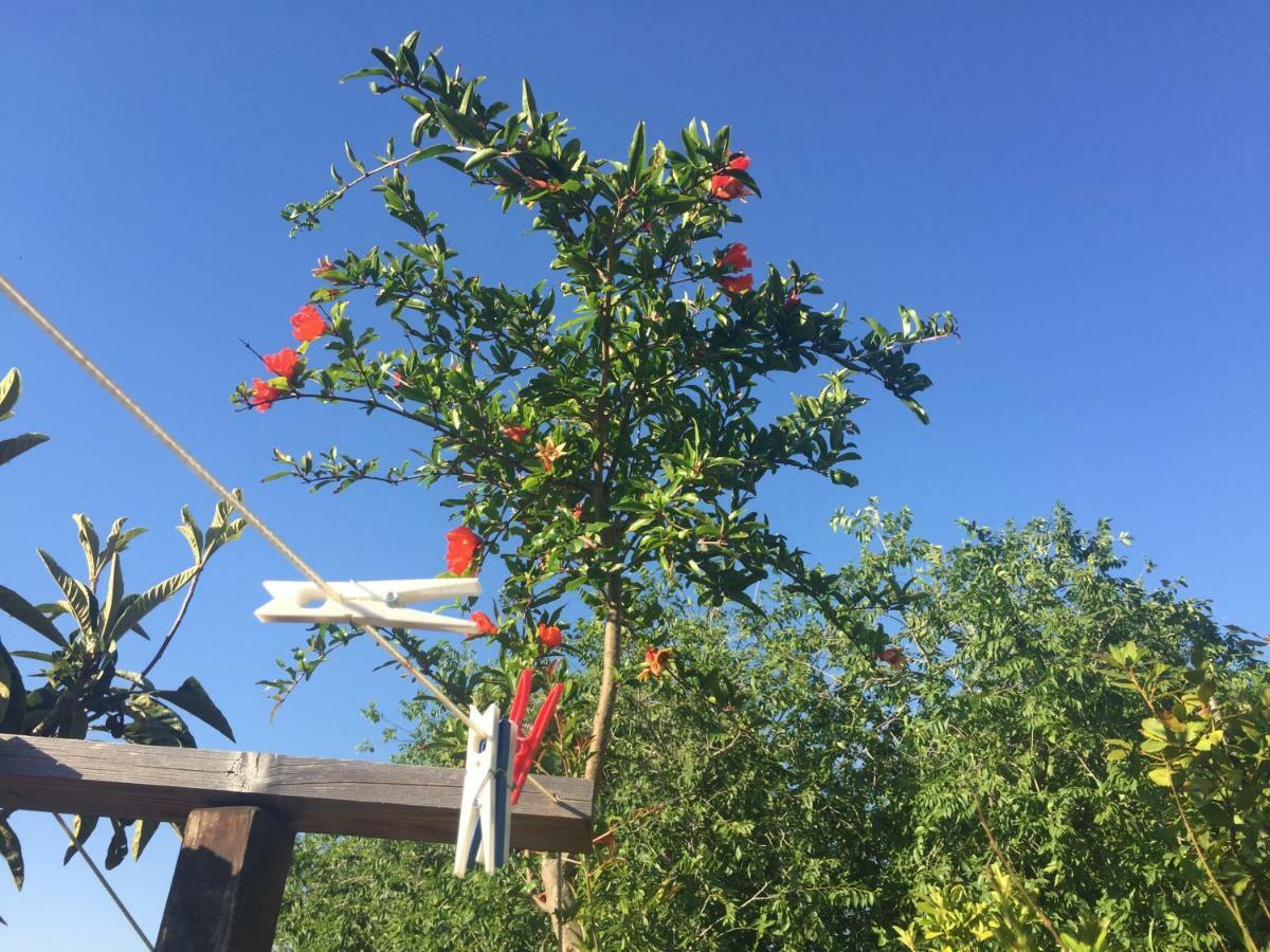 San Saba Roof Garden Holiday home *