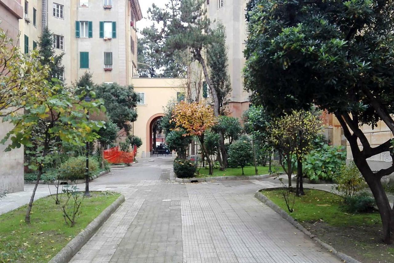 Flaminio *