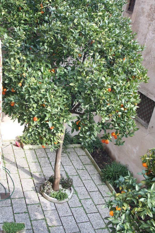 Appartement Wellnessinnrome Shortlet *