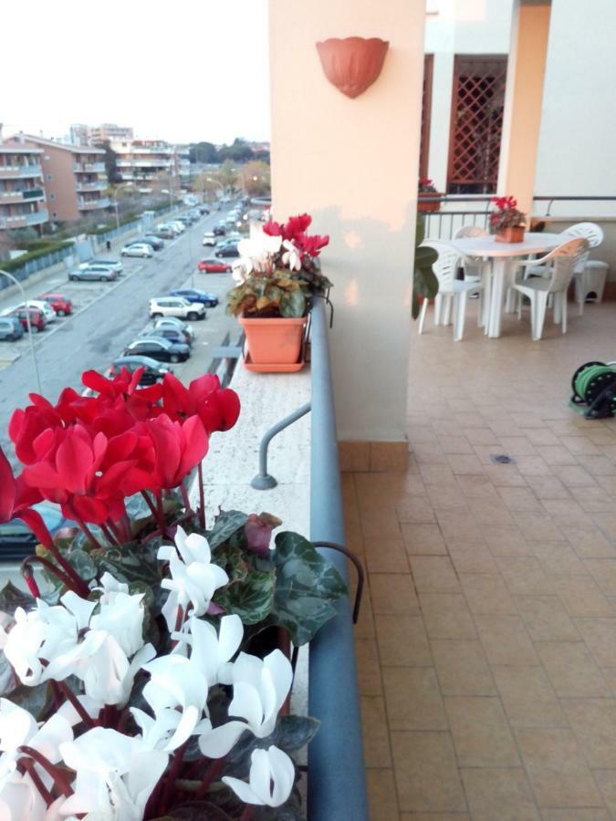 Mezzocammino Short Rent - Ciu5125 Appartement Rome