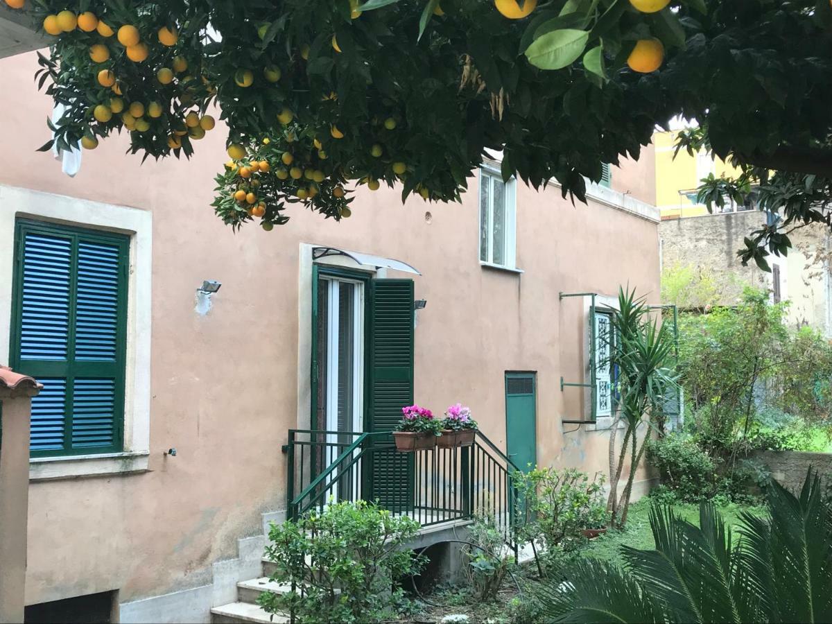 La Casa Del Nespolo Apartment Rome