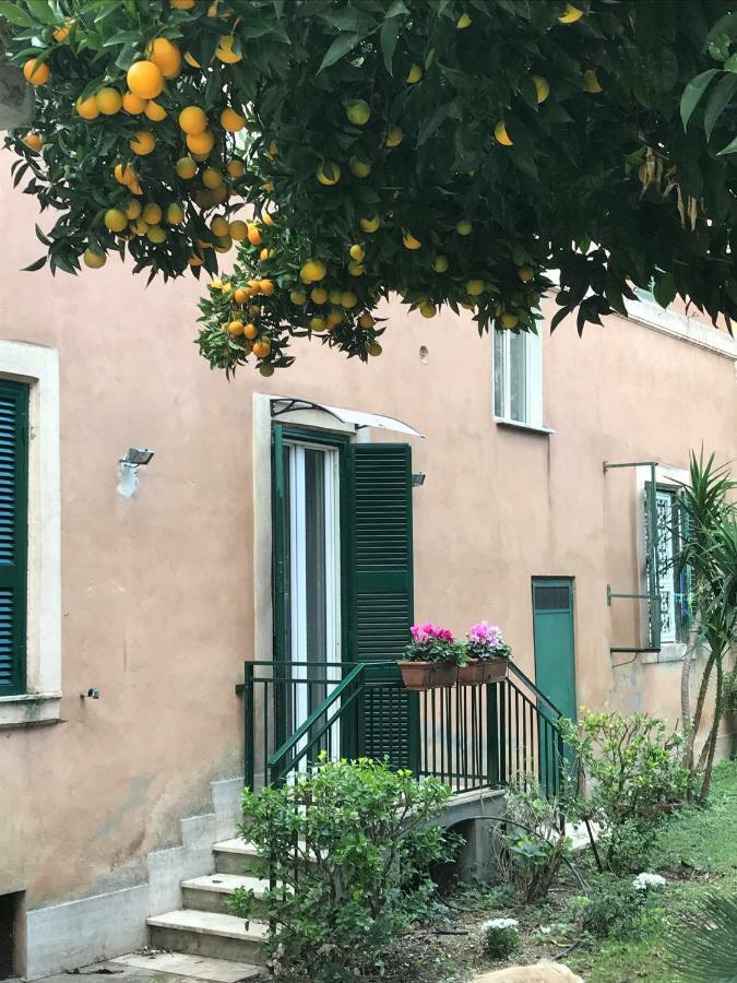 La Casa Del Nespolo Rome
