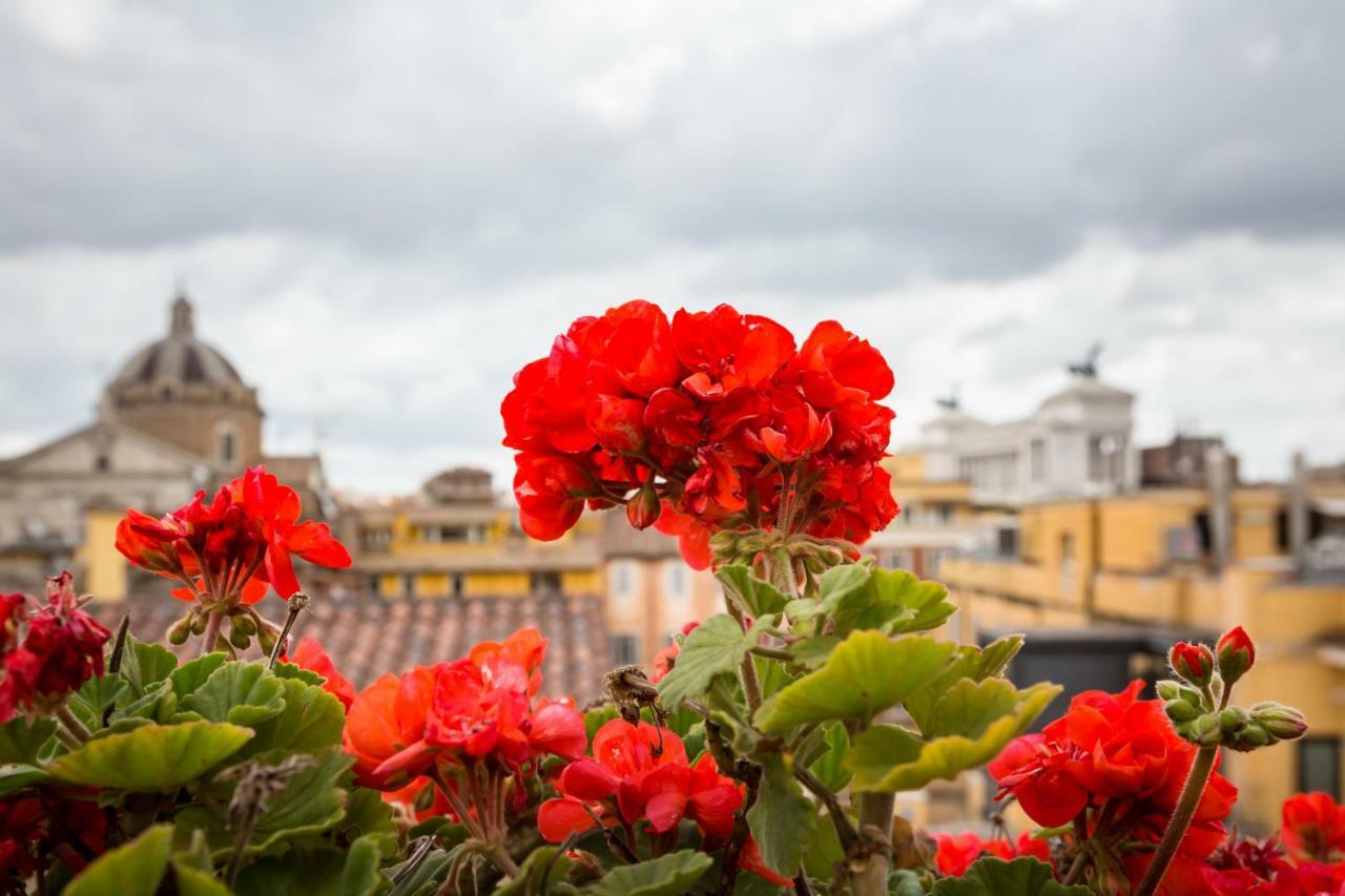 Ginnasi Palace Penthouse Rome