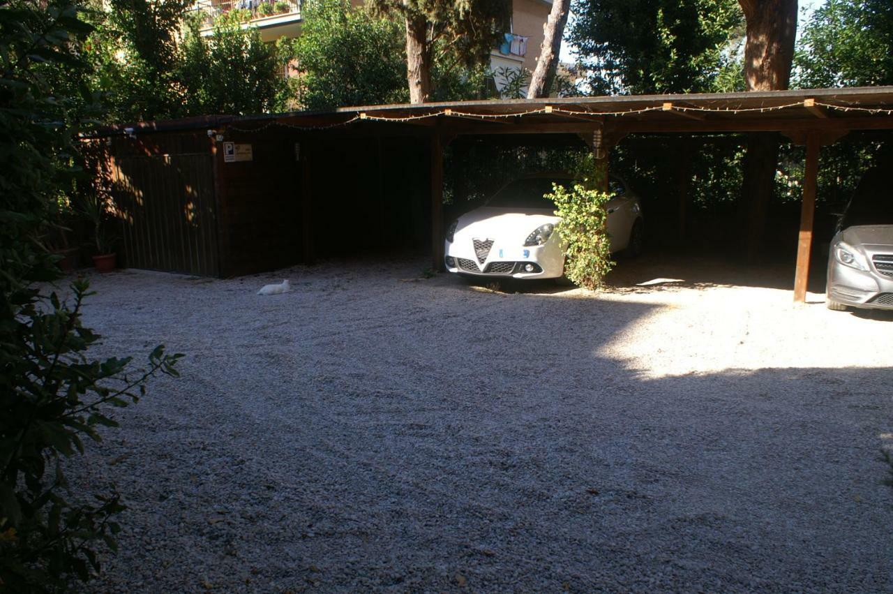 Wilson 2* Rome