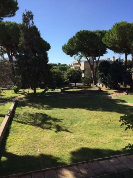 Eurgardenie * Rome