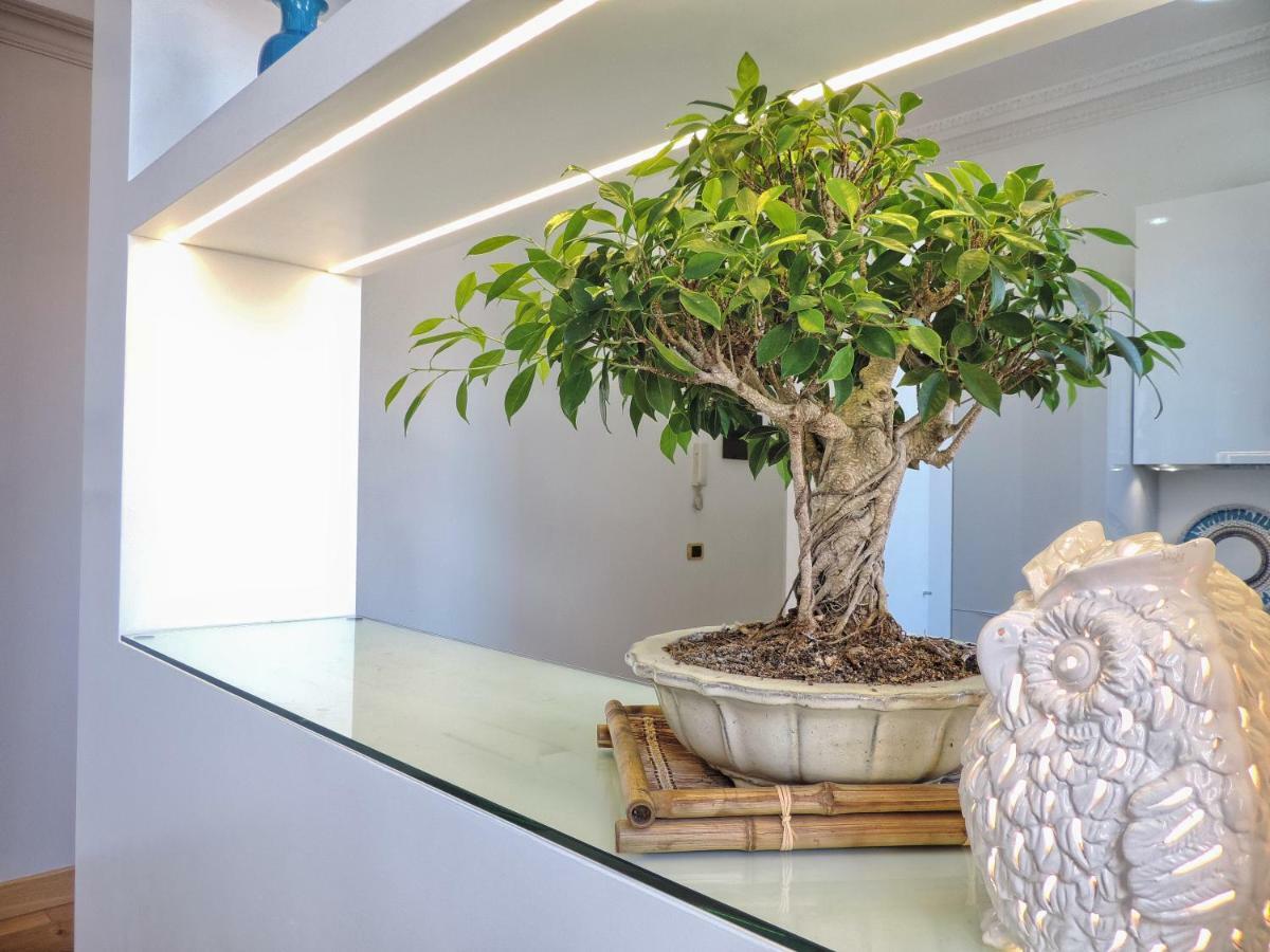 Apartamento Frattina At