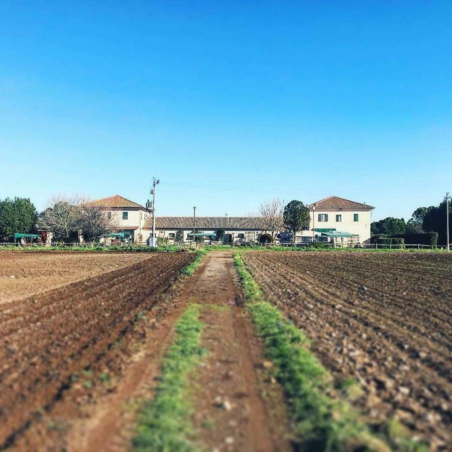 Casale Appio Gasthuis
