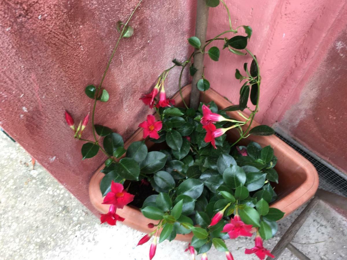 Apartment Appia Park *