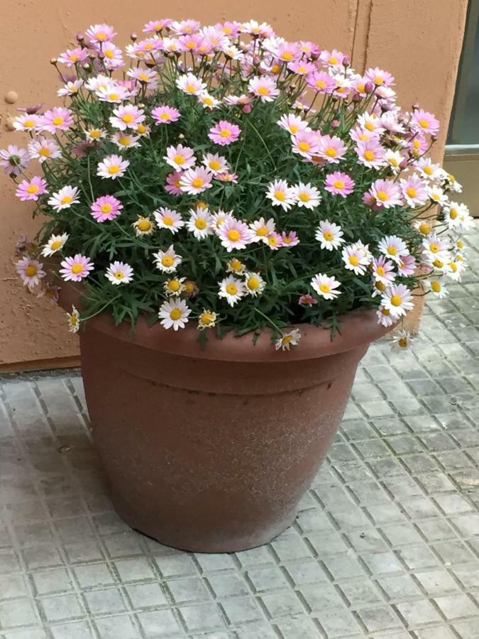 Pigneto Charming House Appartamento Roma