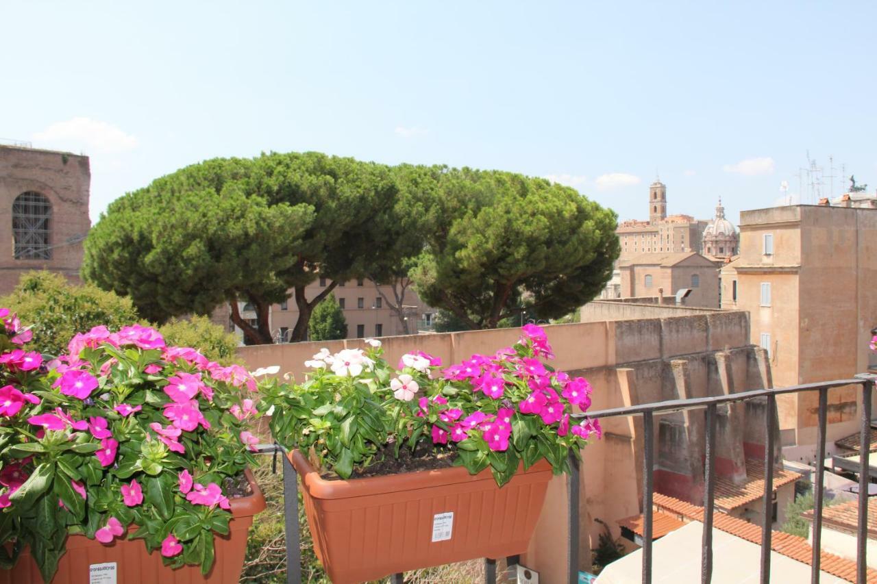 Attico Al Colosseo Con Vista * Rome