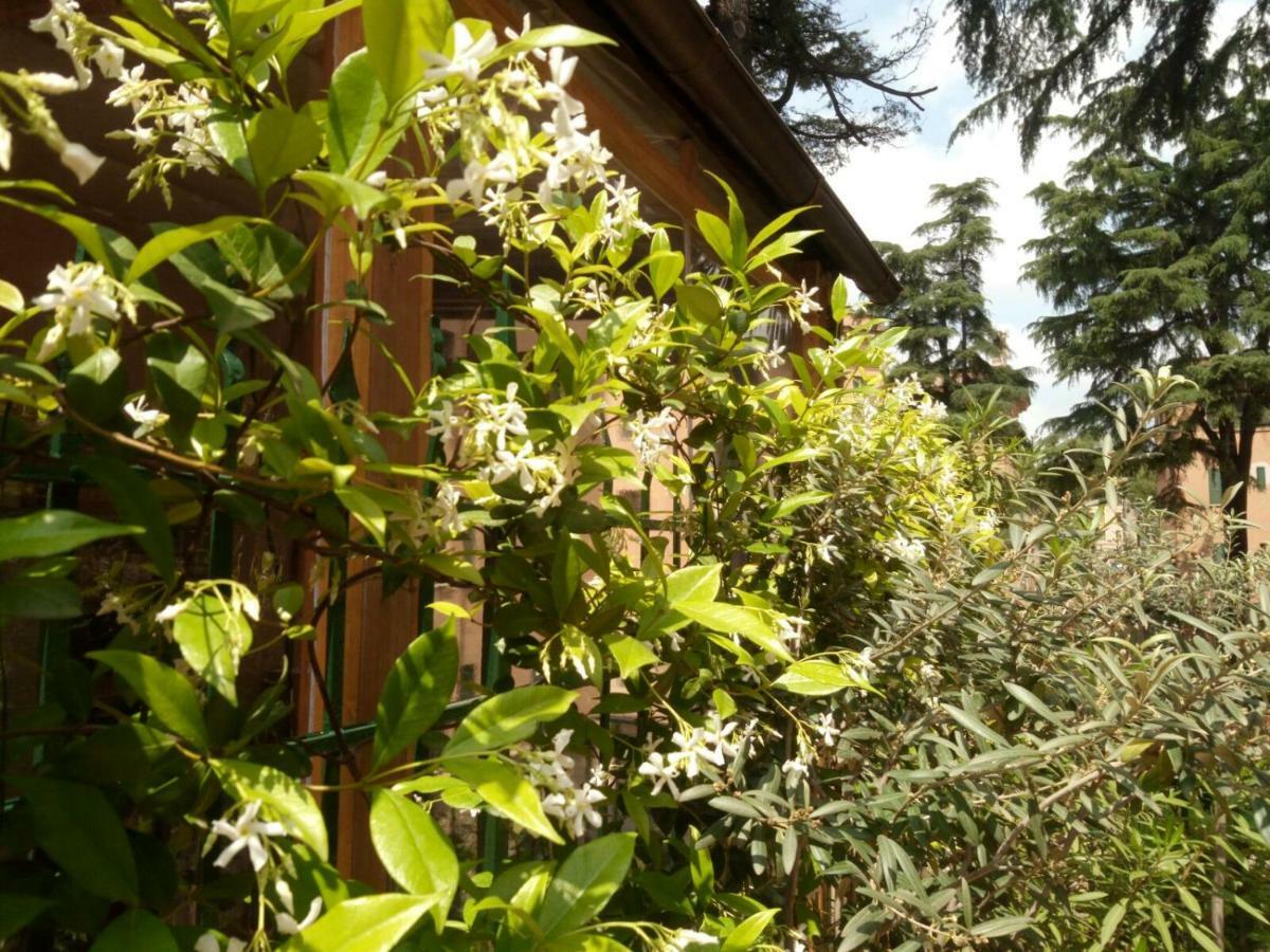 A Casa Di Edi Appartement *