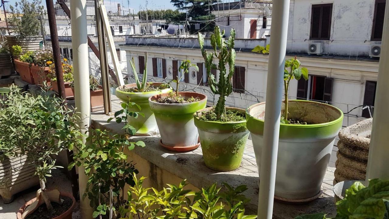 Appartement Robta's Dream
