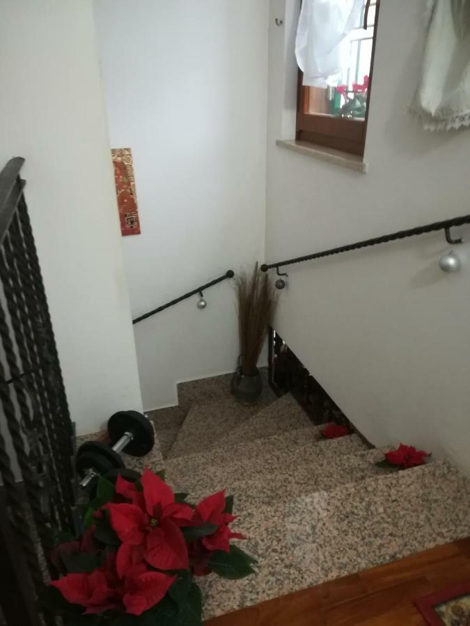 Curti Homestay *