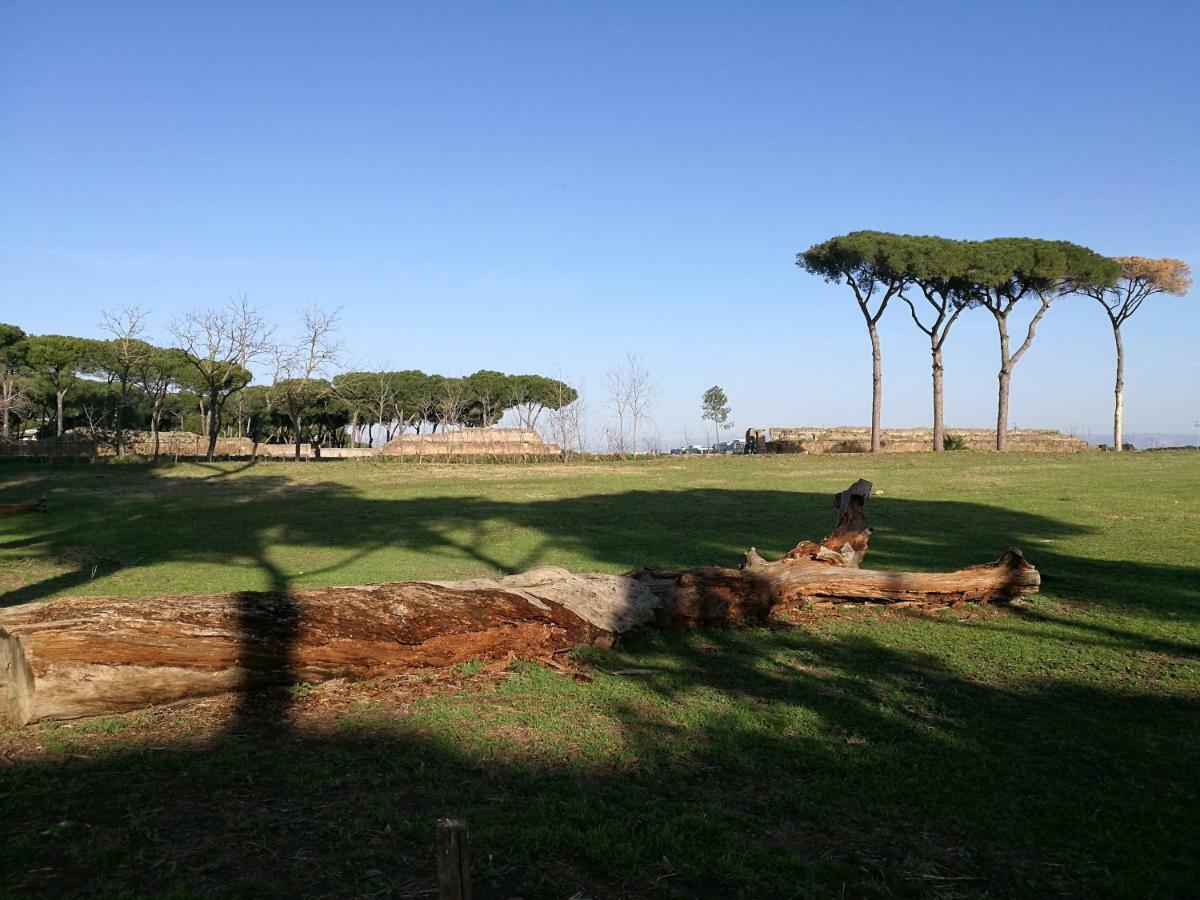 155 Via Sestio Calvino Appartamento Roma