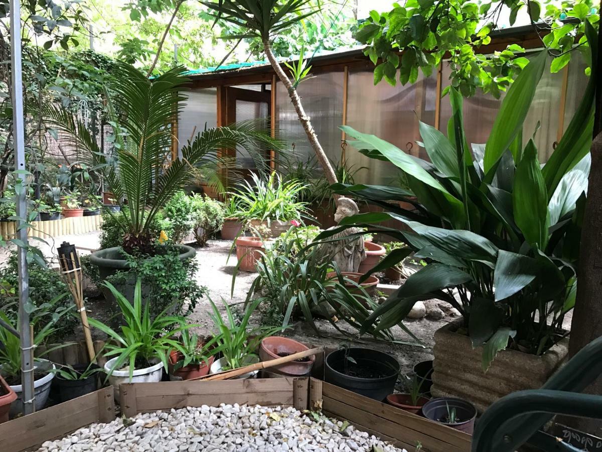 La Casa Di Elena Gasthuis *
