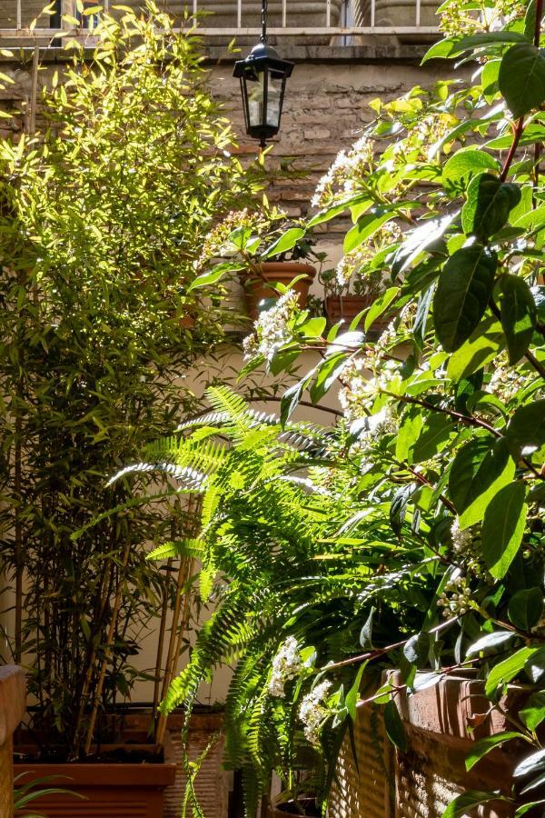 Appartement Domus Maya Colosseum