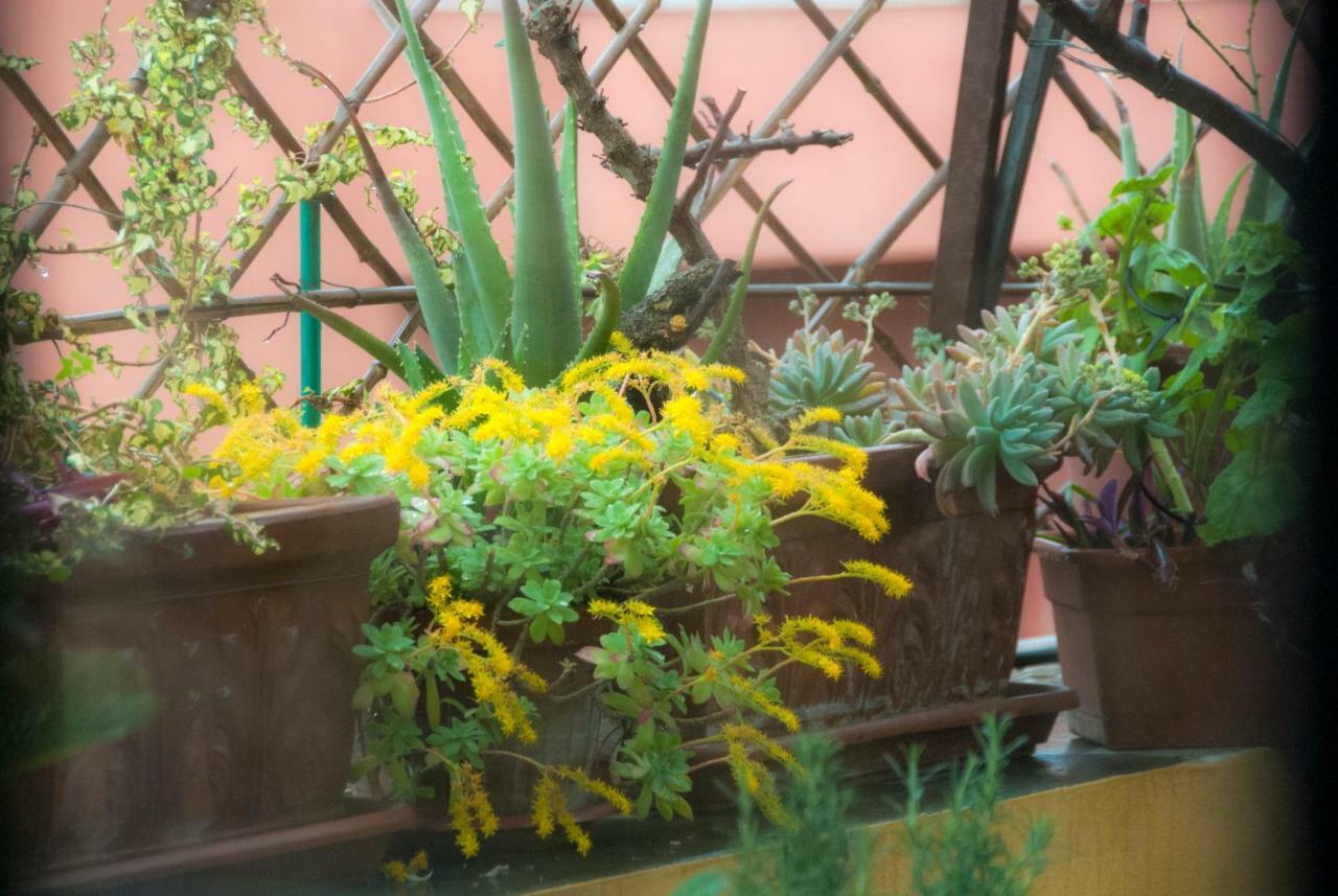 Apartamento Fiore *
