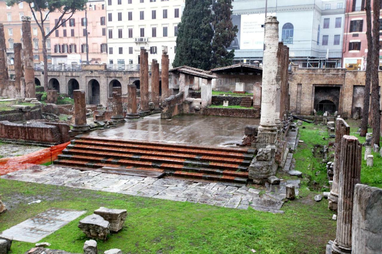 Orchid * Rome