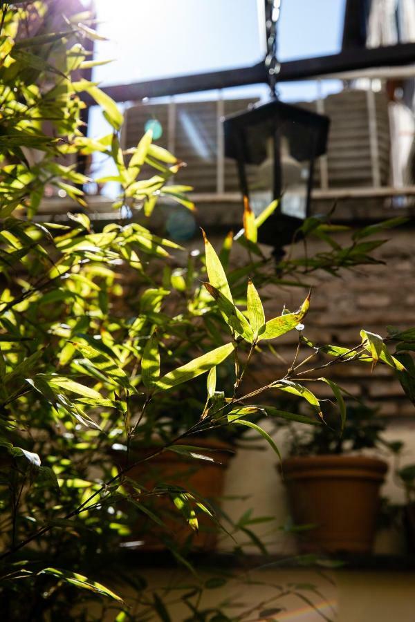Appartement Domus Maya Colosseum