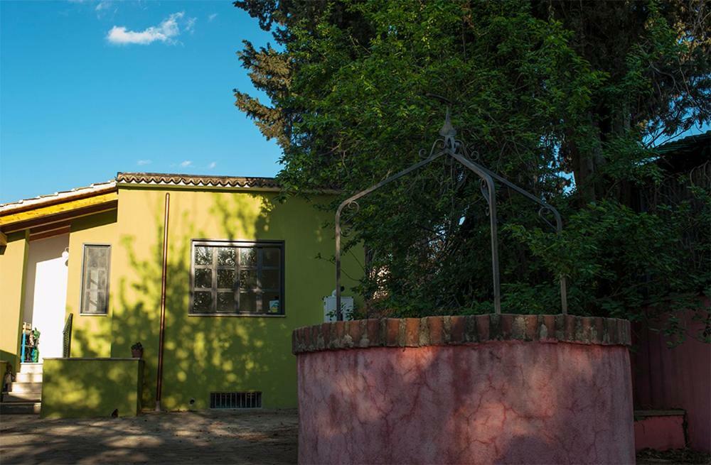 Stanza Nuova Con Giardino Homestay Rome