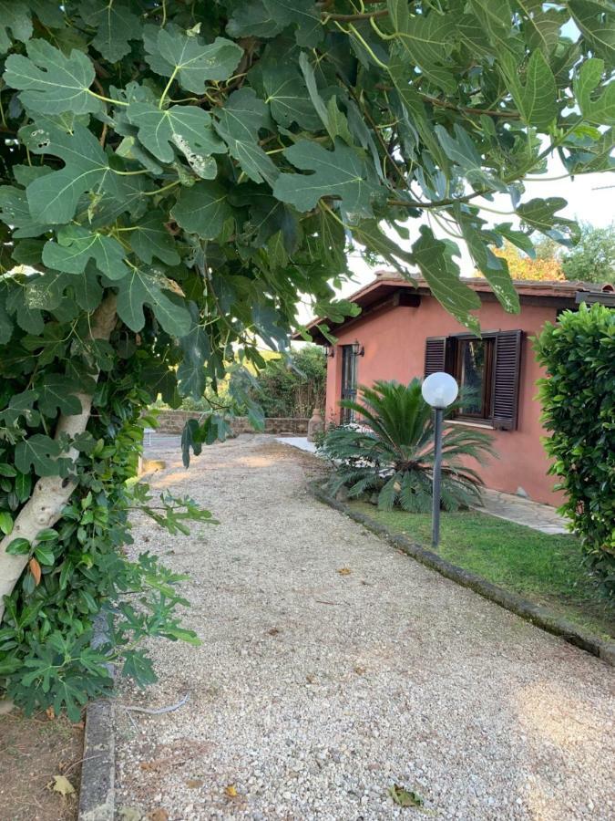 La Casa Di Irene Nel Golf Club * Rome