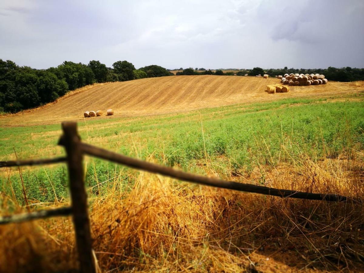 Farm stay Ars Naturae *