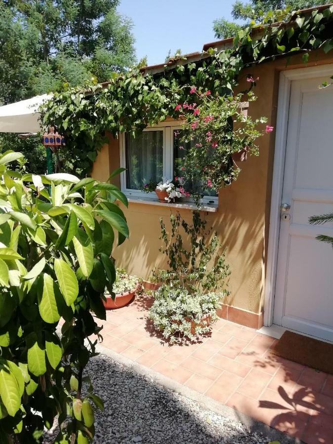 Appia Antica Guest house