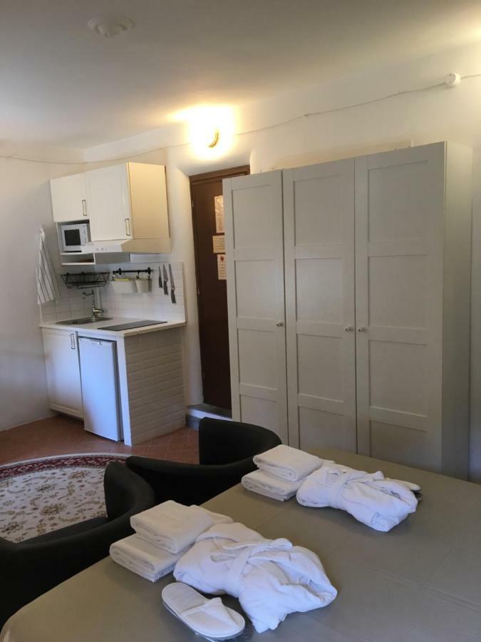 Apartment M9 Pantheon Attic 10