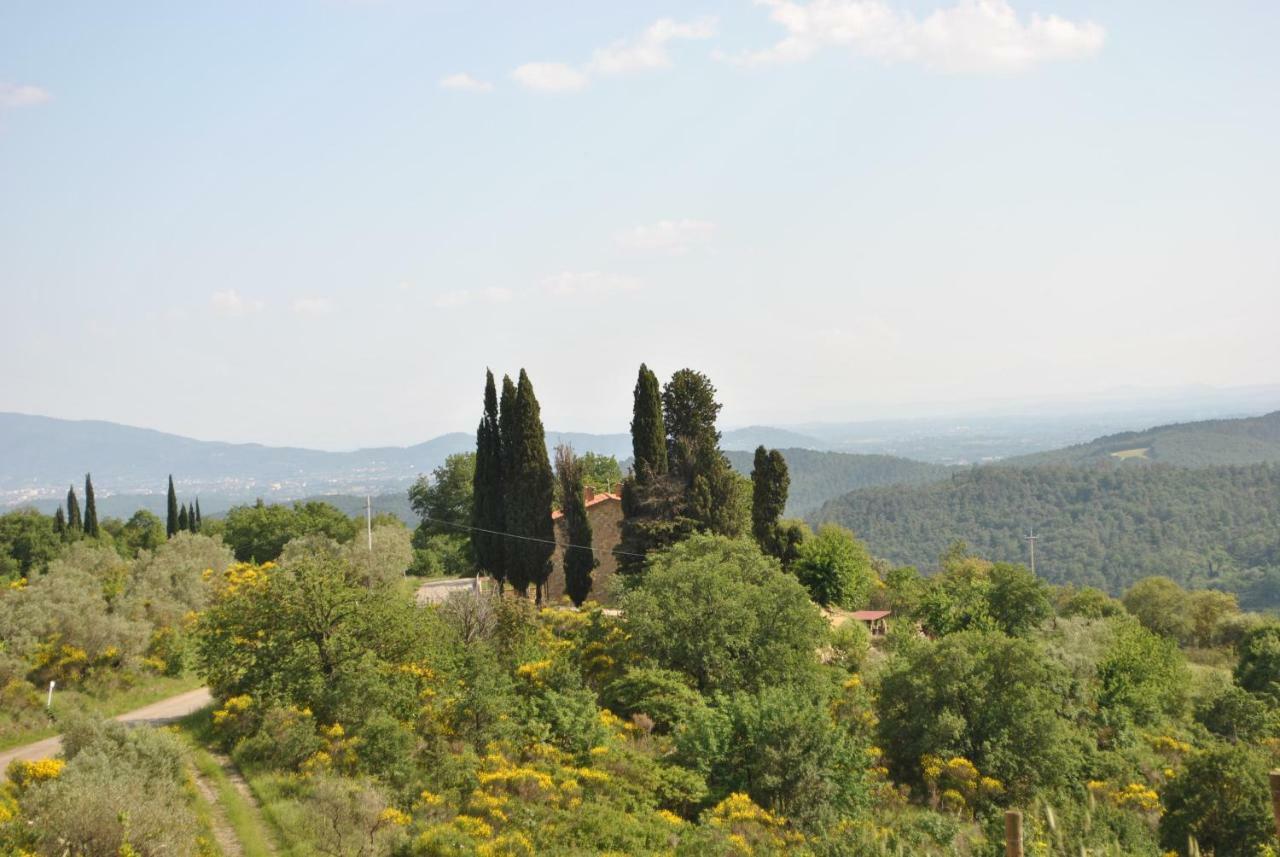 Bed & Breakfast Lavanda E Rosmarino Capolona