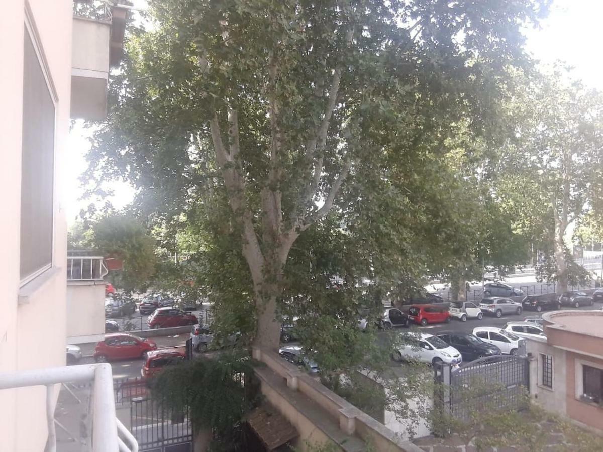 Apartment Casa Sul Lungotevere *