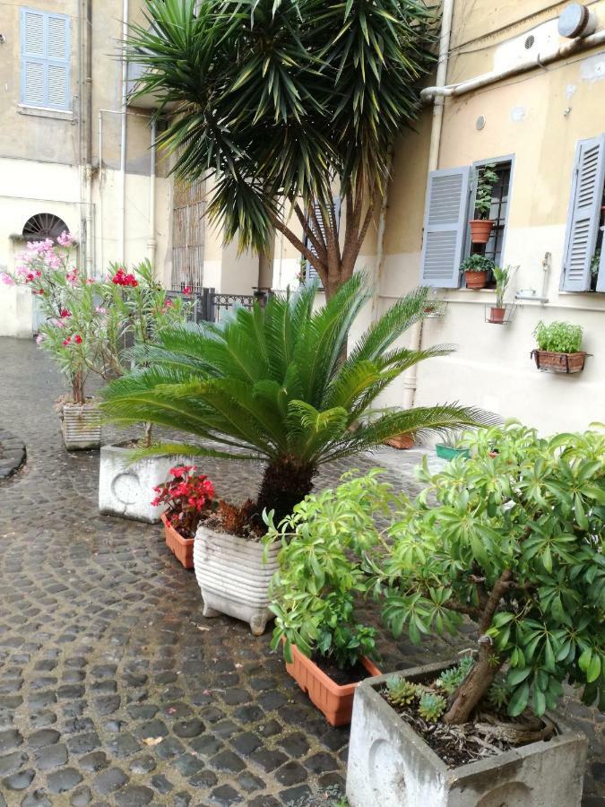Séjour chez l'habitant Trastevere, What Else... *