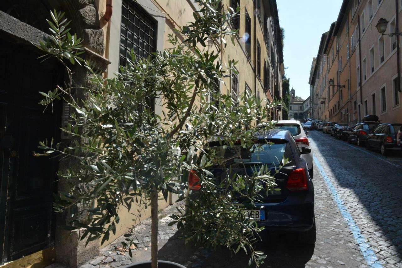 Petit Bijou De Vatican-trastevere Vakantiehuis Rome