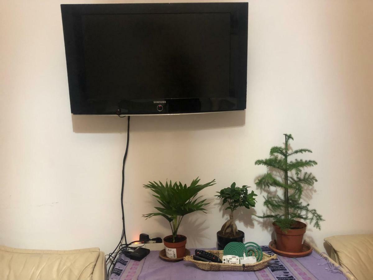 Guest house Lizart Garden Rome
