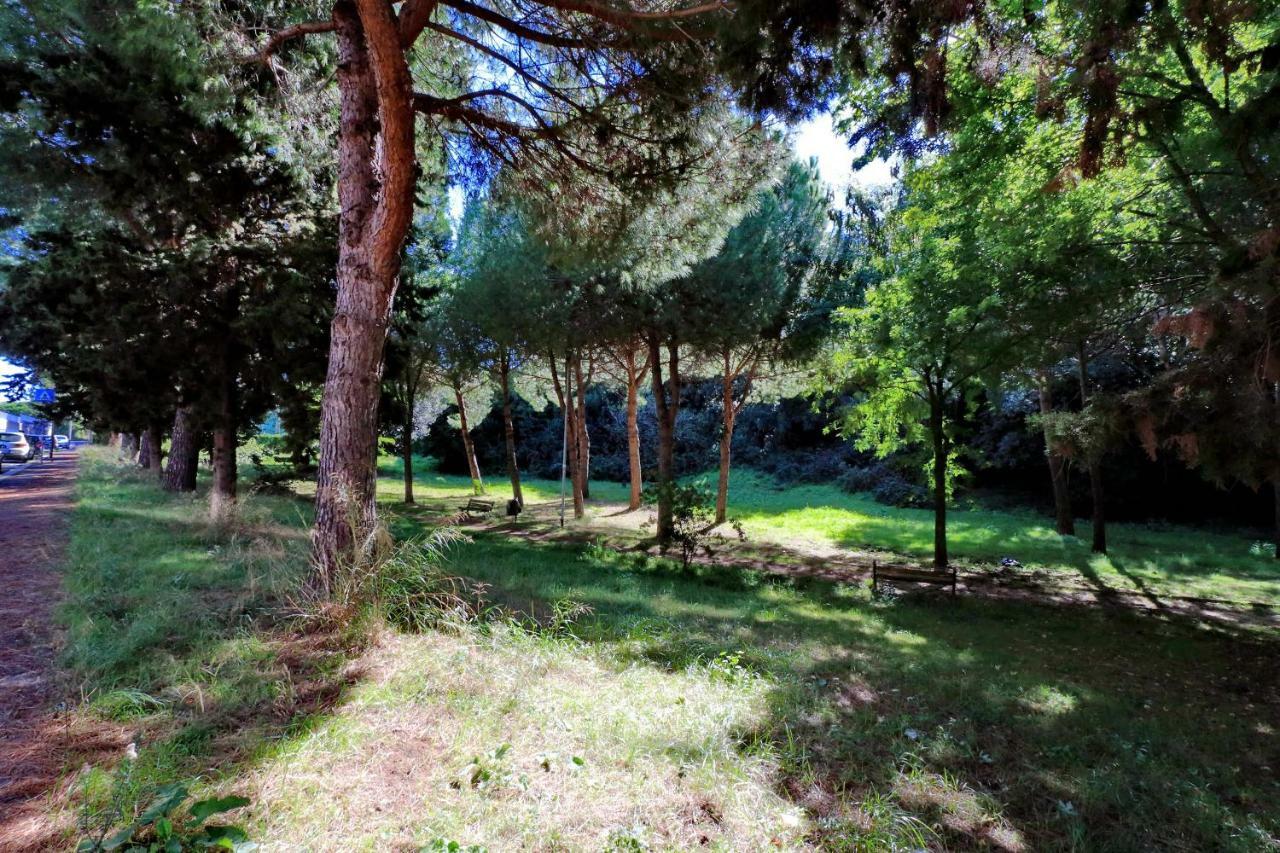 Apartment Aurelia Relax