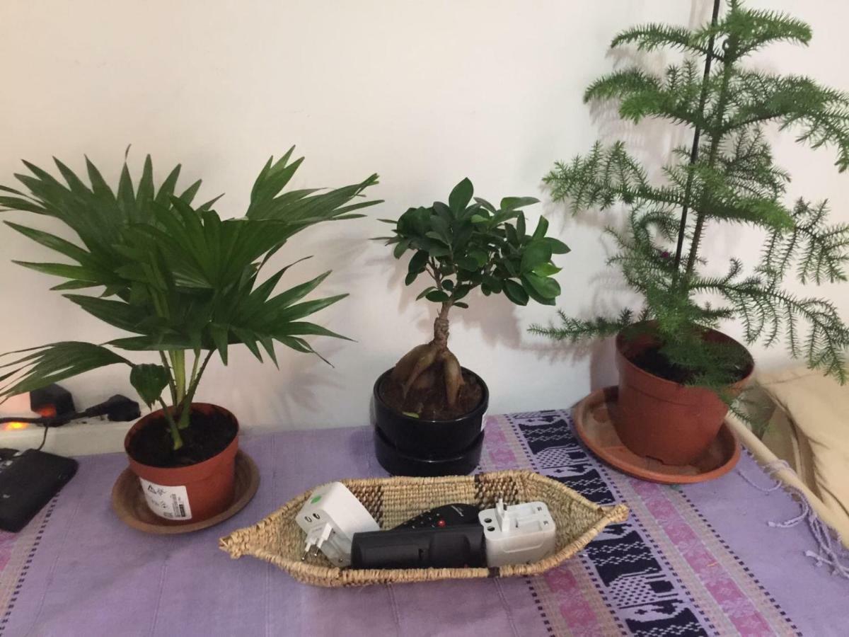 Lizart Garden Guest house Rome
