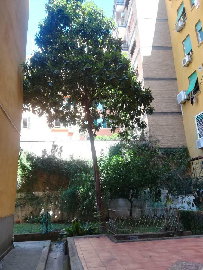 Amalia House - Casa Vacanza * Rome