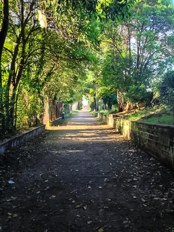 Hospedagem domiciliar Bellissime In *