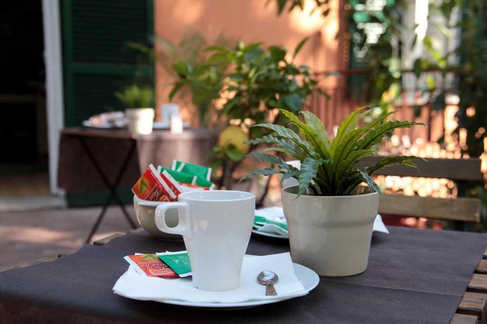 Drusilla Guest house