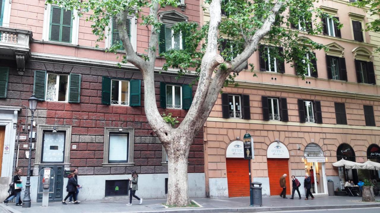 Apartment Monia Coliseum