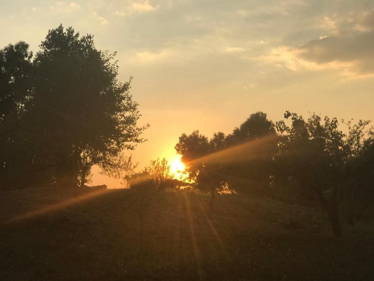 La Dei Sogni Nel Parco * Rome