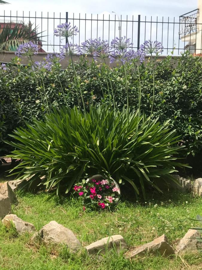 Apartment Lovely Little In Via Aurelia
