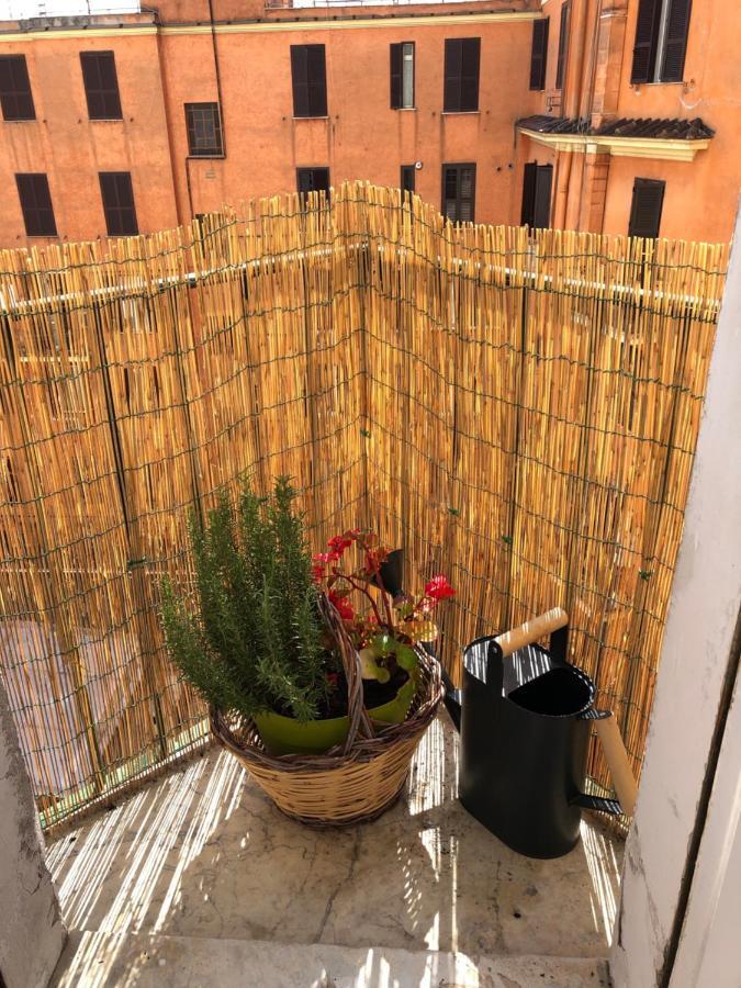 Cozy * Rome