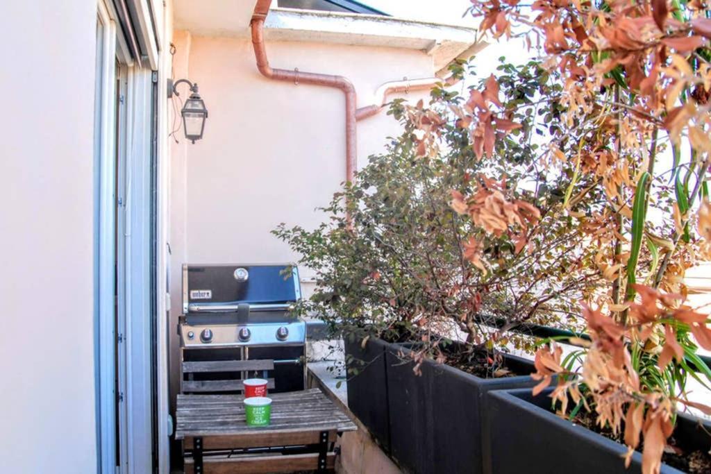 A Terrific Terrace Penthouse Apartment *