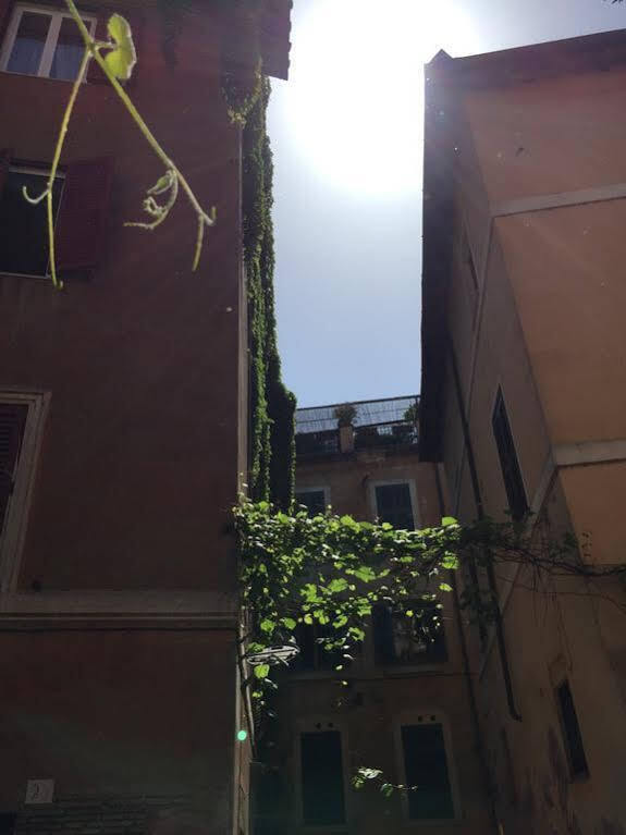 Nl Trastevere Guest house 2*