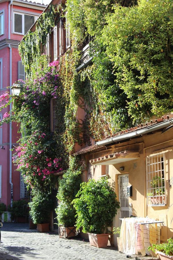 Apartment Moro 50 - Loft In Trastevere Rome