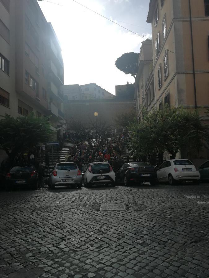 Domus Vatican Museum * Rome