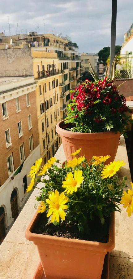 When In Guest house Rome
