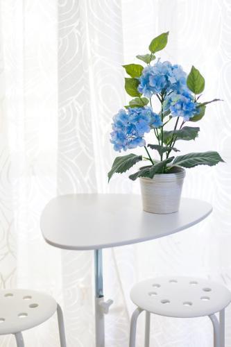 Pamphili Apartment *