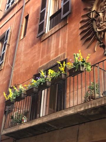 Charme Luxury Flat Campo Dei Fiori Apartment Rome