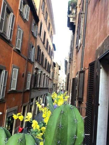Charme Luxury Flat Campo Dei Fiori Apartment *